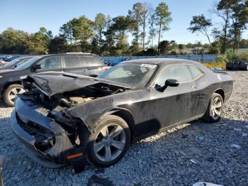  Salvage Dodge Challenger