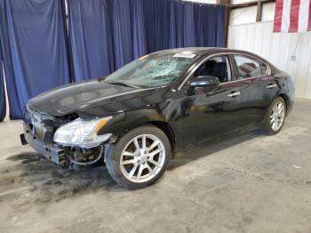  Salvage Nissan Maxima