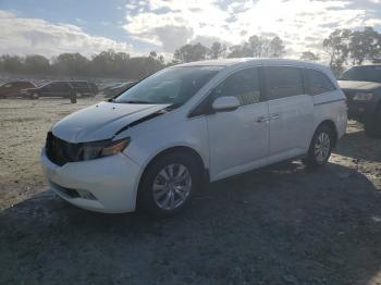  Salvage Honda Odyssey