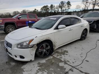  Salvage Nissan Maxima