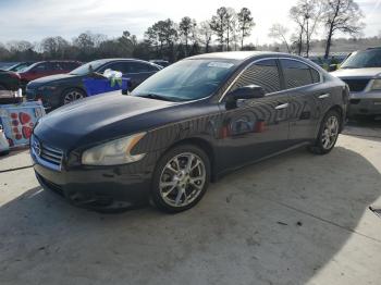  Salvage Nissan Maxima