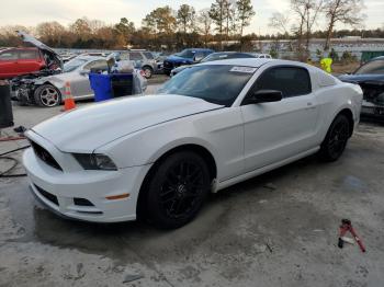  Salvage Ford Mustang