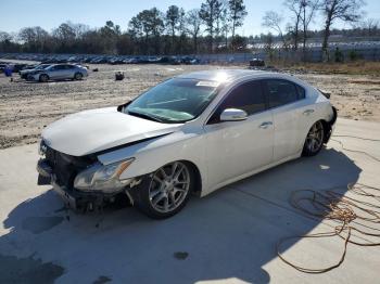  Salvage Nissan Maxima