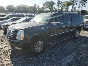  Salvage Cadillac Escalade