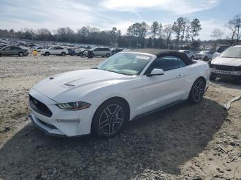  Salvage Ford Mustang