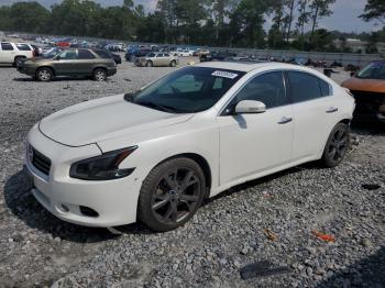  Salvage Nissan Maxima