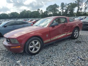  Salvage Ford Mustang