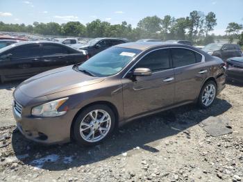  Salvage Nissan Maxima