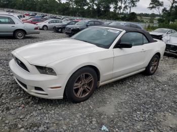 Salvage Ford Mustang