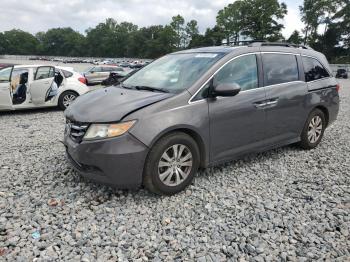  Salvage Honda Odyssey