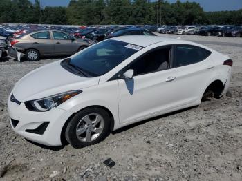  Salvage Hyundai ELANTRA