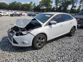  Salvage Ford Focus