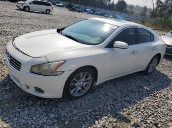  Salvage Nissan Maxima