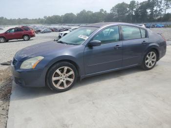  Salvage Nissan Maxima