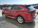 Lexus RX 350 Image 3