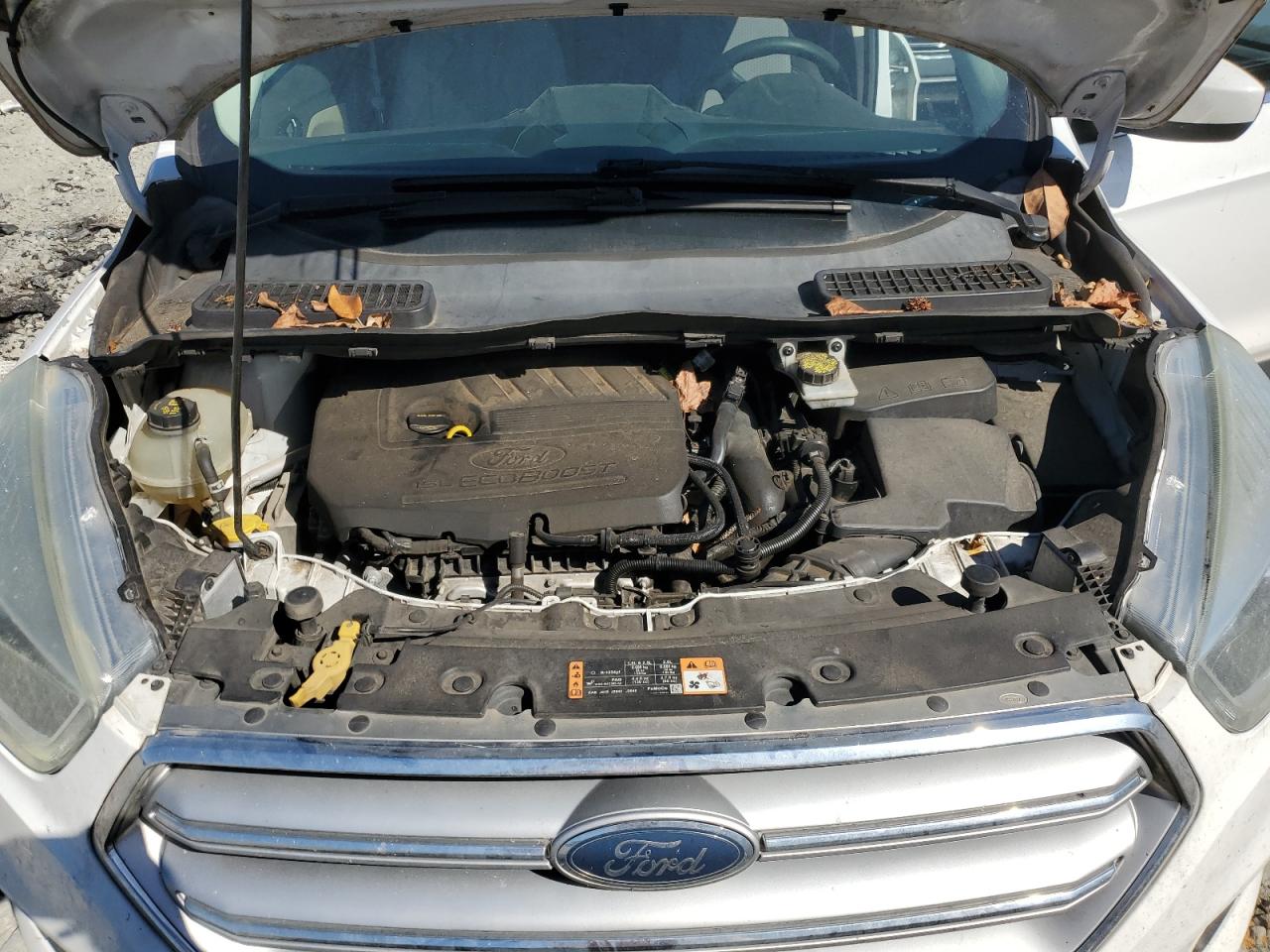 Ford Escape Se Image 10