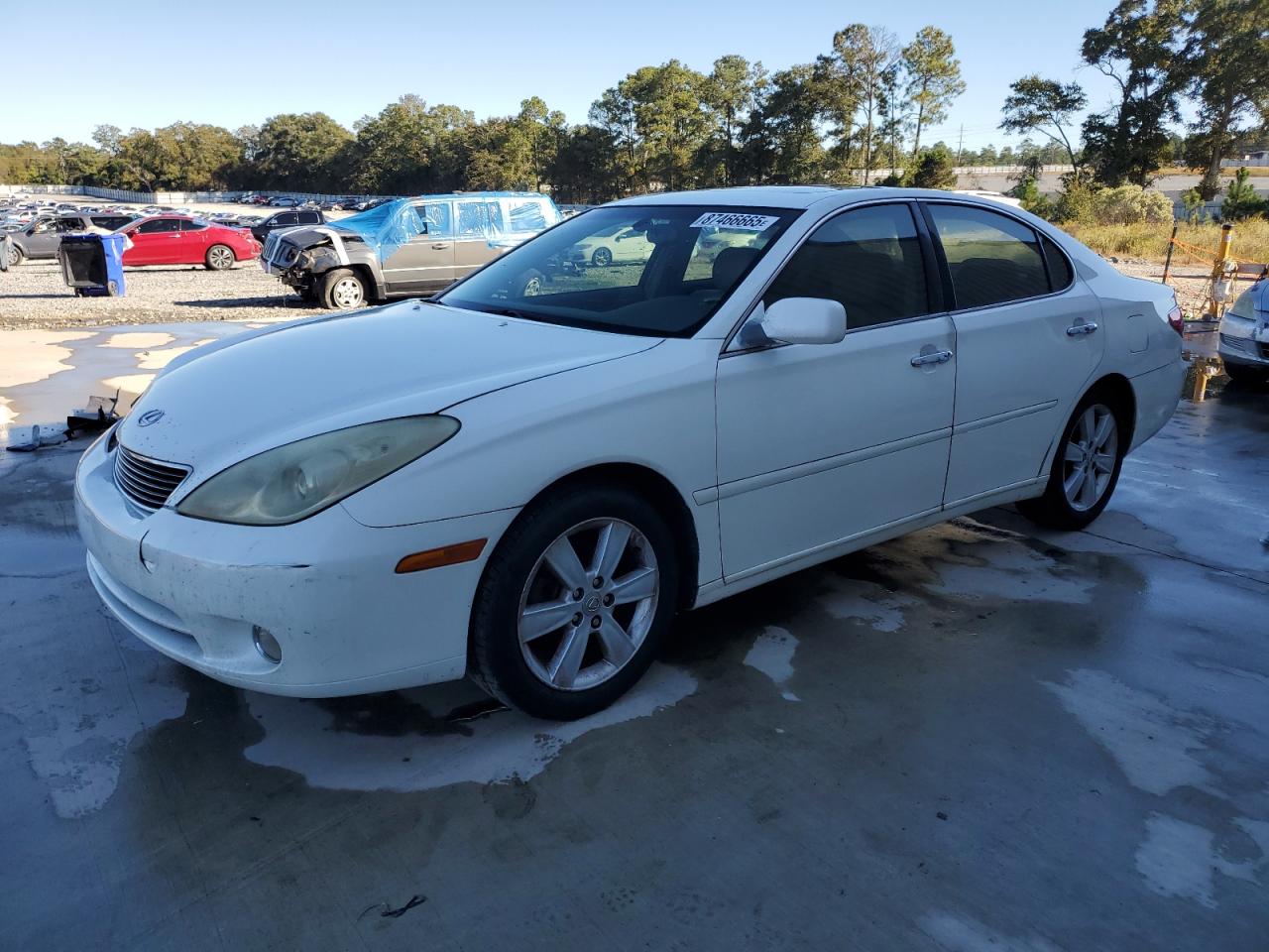 Lexus Es 330 Image 1