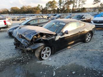  Salvage Ford Mustang
