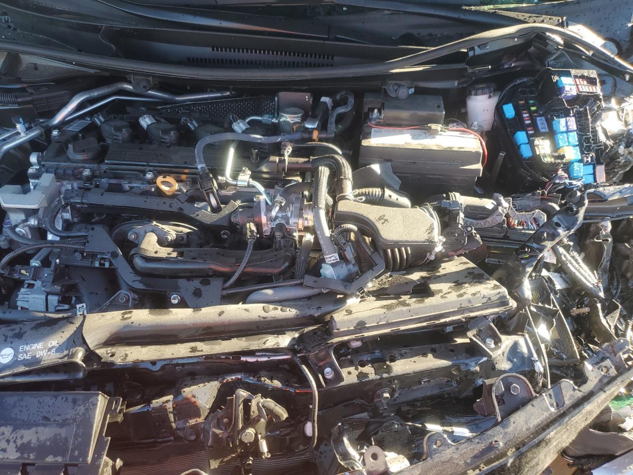 Toyota Corolla Le Image 7