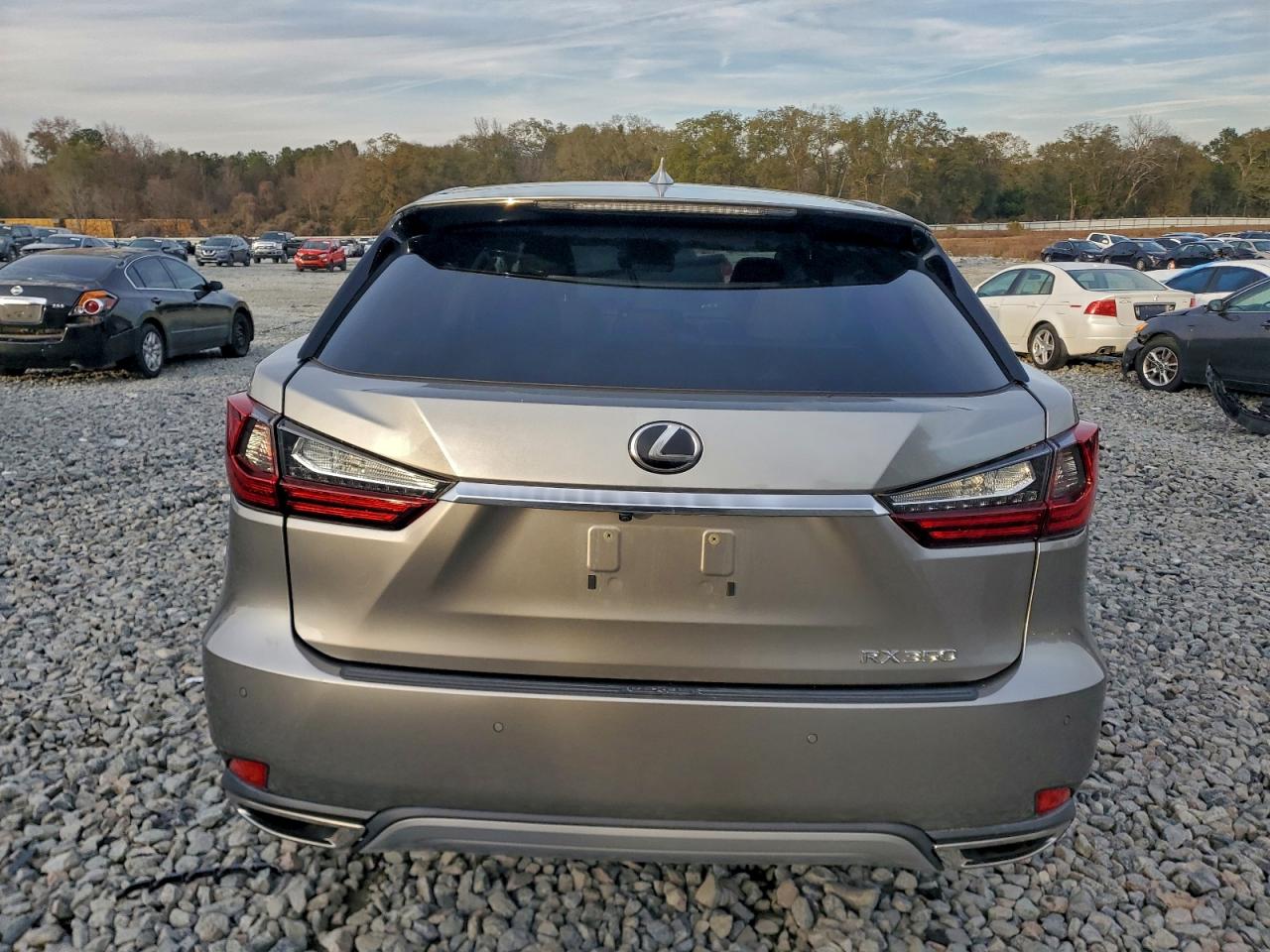 Lexus RX 350 Base Image 12