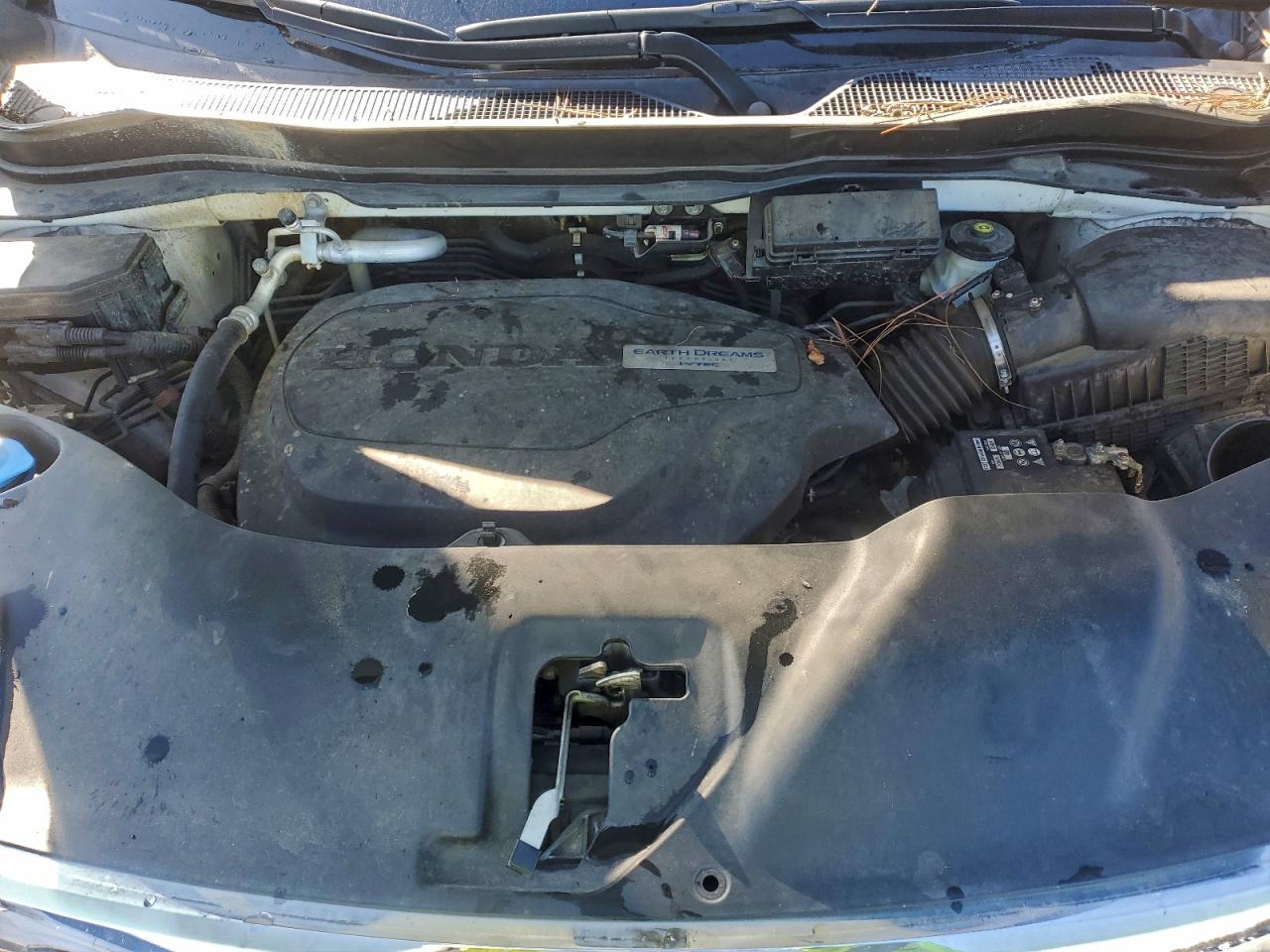 Honda Pilot Elite Image 14