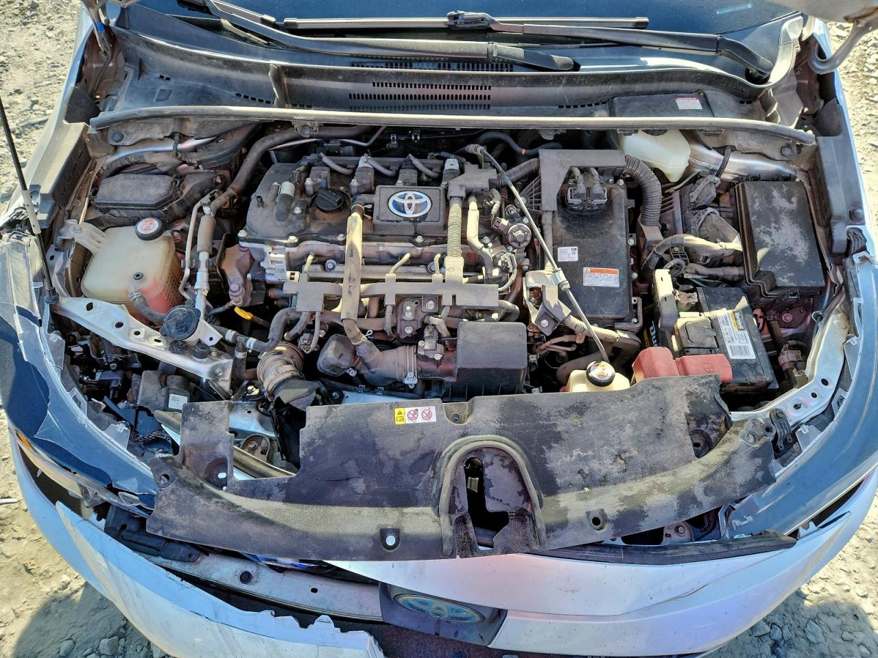 Toyota Corolla Le Image 10