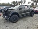 Ford F-150 Raptor Image 1