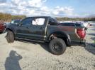 Ford F-150 Raptor Image 9
