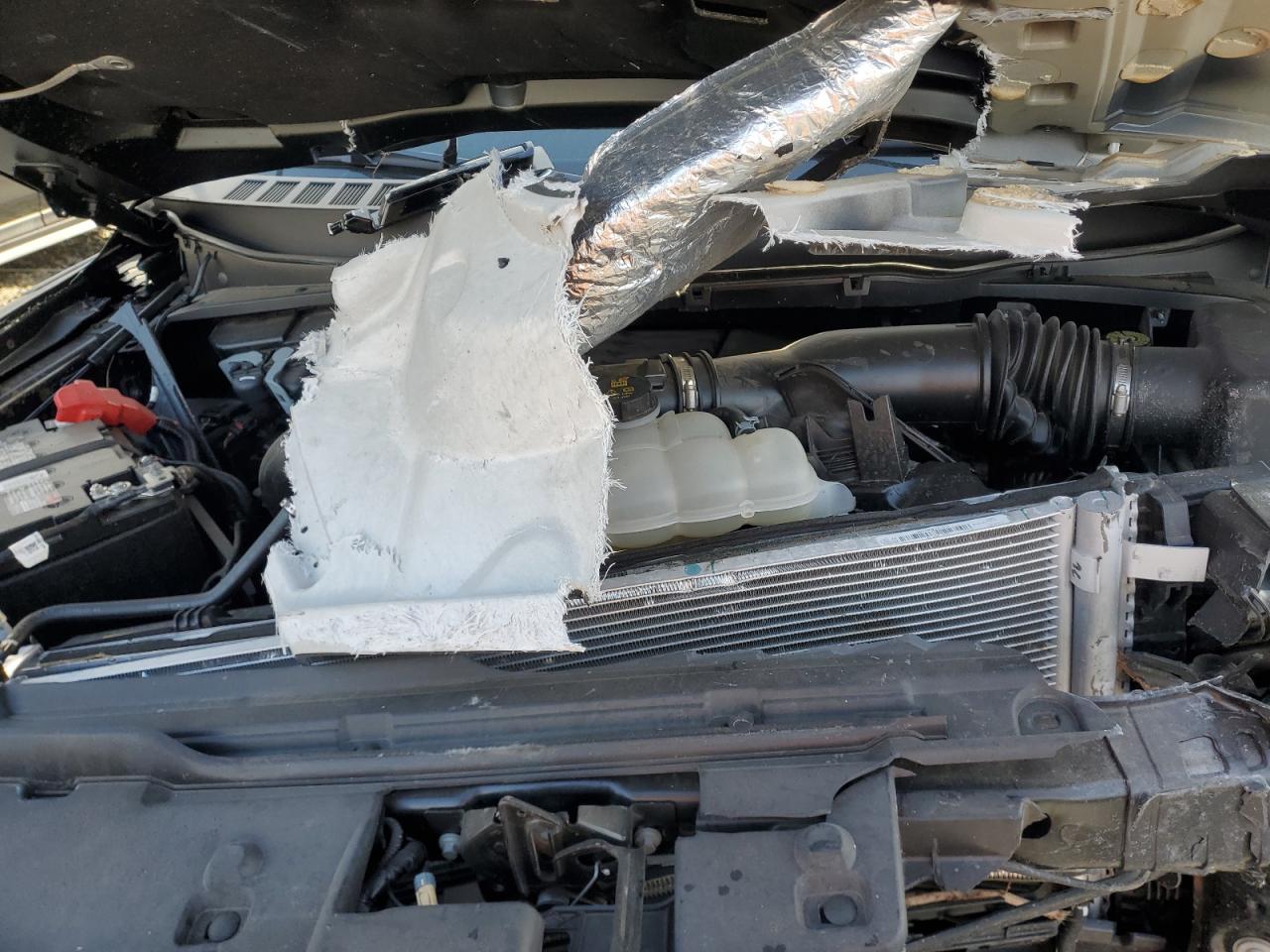 Ford F-150 Raptor Image 8