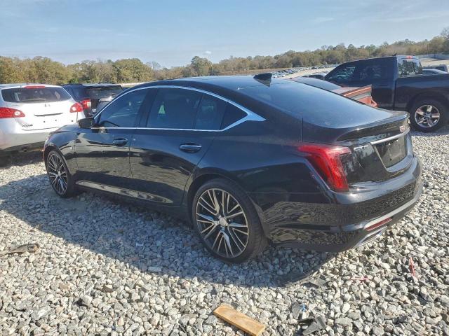 Cadillac CT5 Premium Luxury Image 3