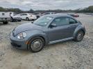 Volkswagen Beetle Image 1
