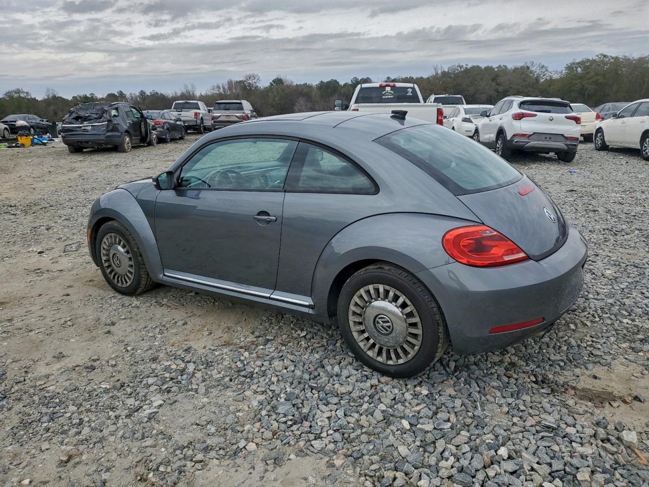 Volkswagen Beetle Image 10