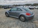 Volkswagen Beetle Image 10