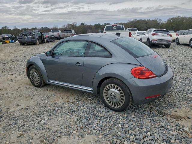 Volkswagen Beetle Image 10