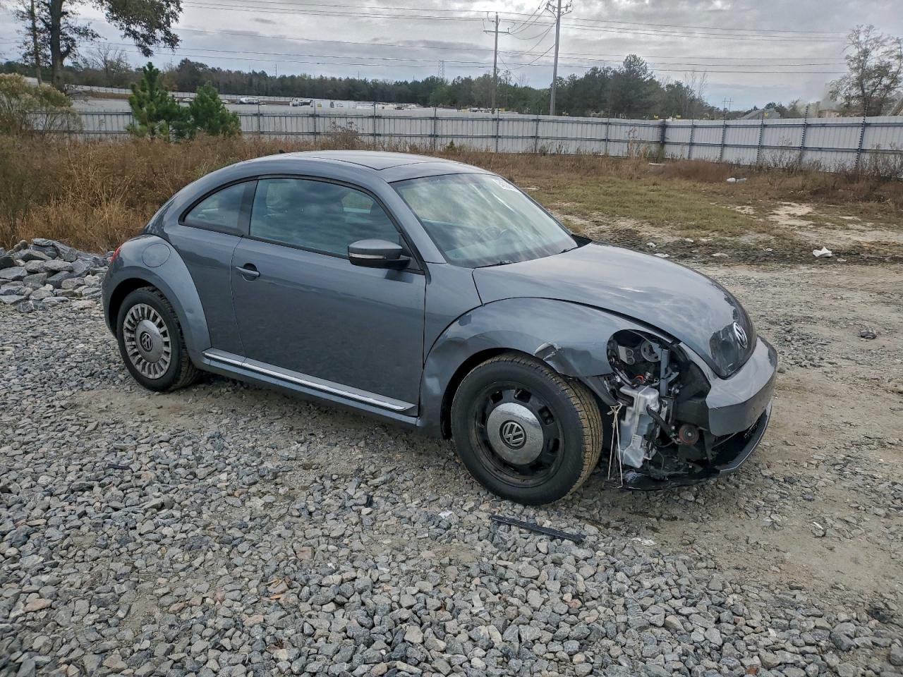 Volkswagen Beetle Image 4