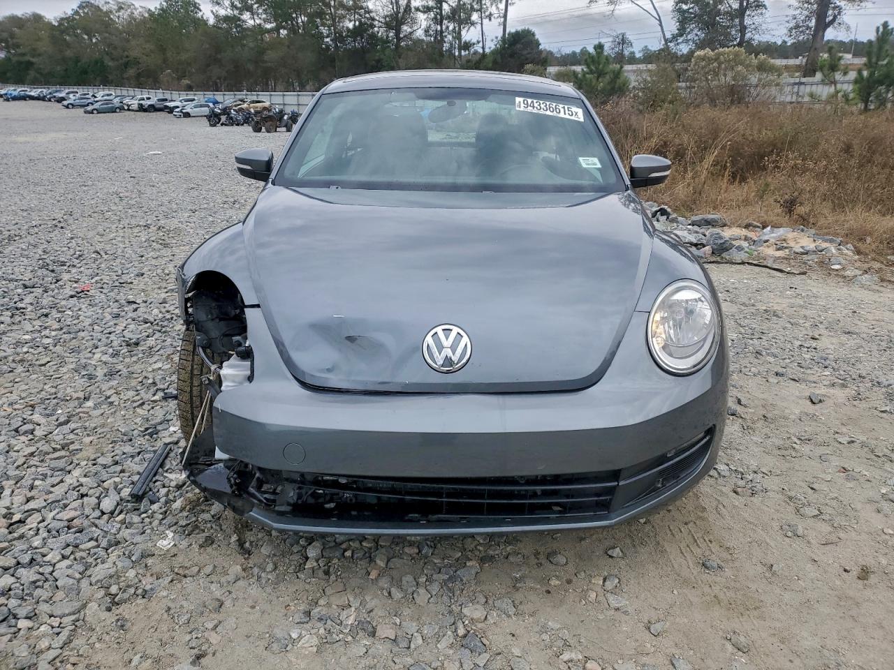 Volkswagen Beetle Image 2