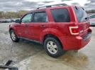Ford Escape Xlt Image 13
