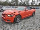 Ford Mustang Image 1