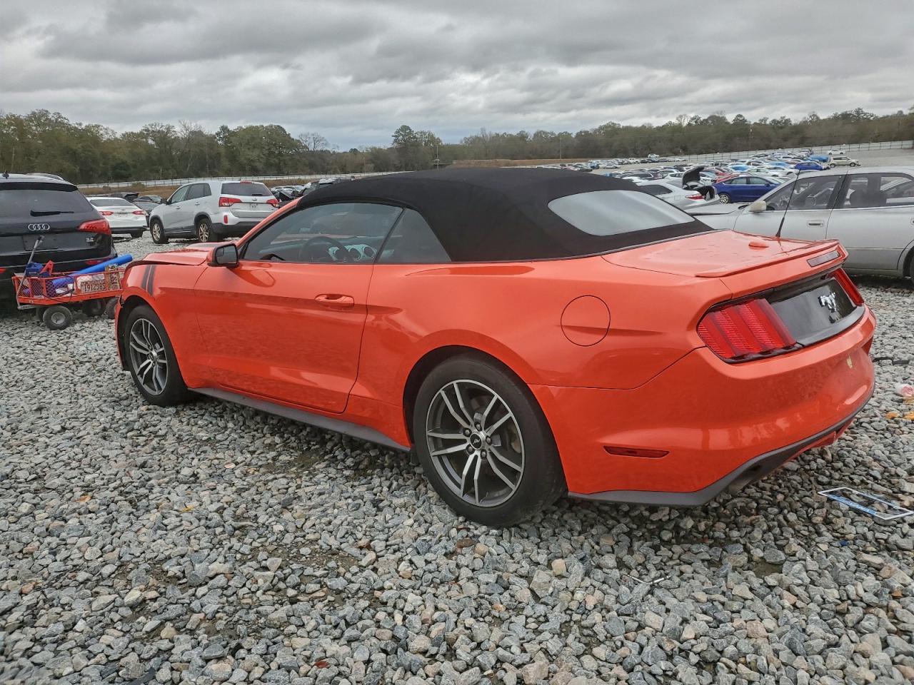 Ford Mustang Image 3