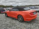 Ford Mustang Image 3