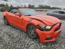 Ford Mustang Image 2