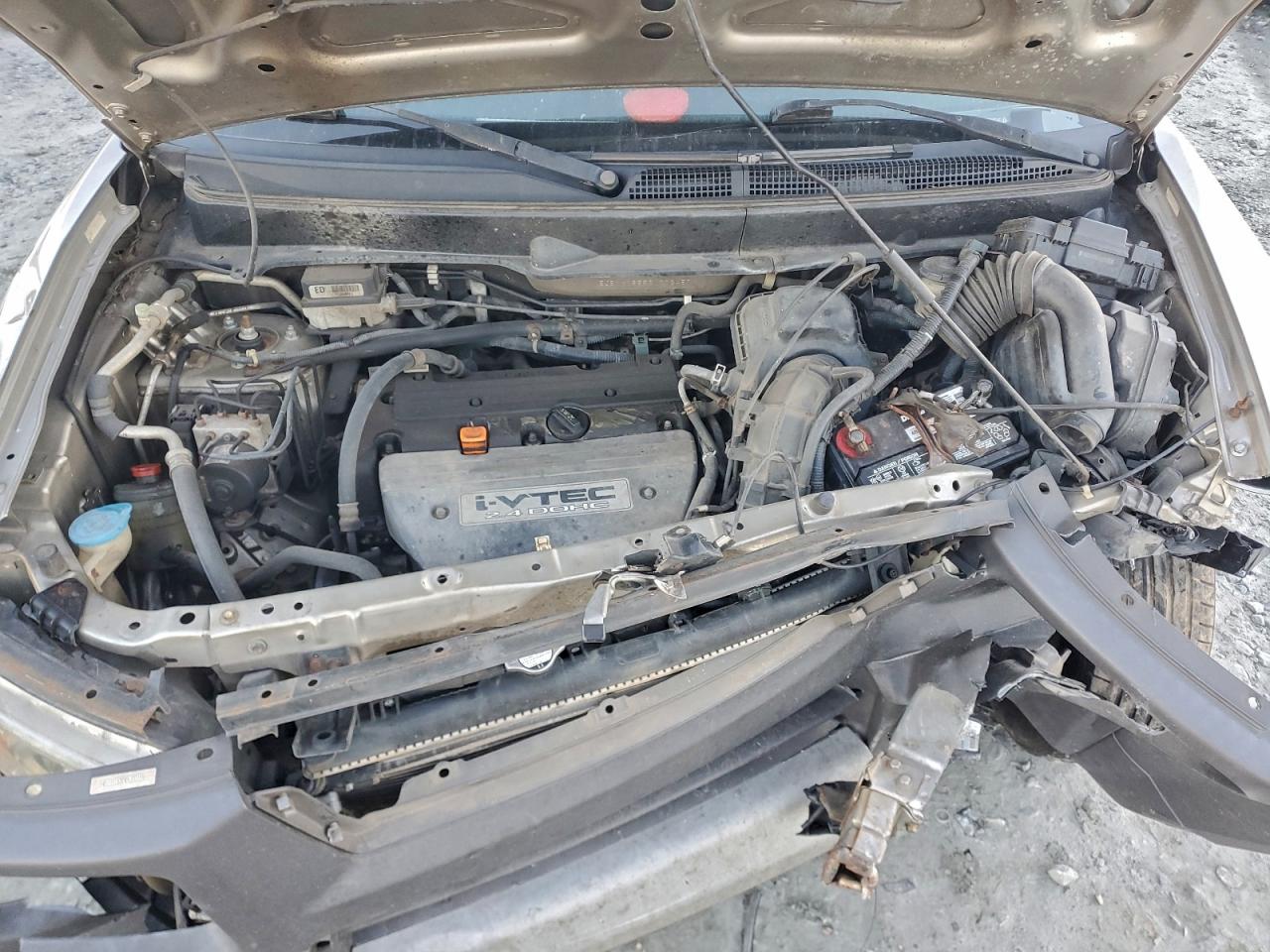 Honda Element Ex Image 10