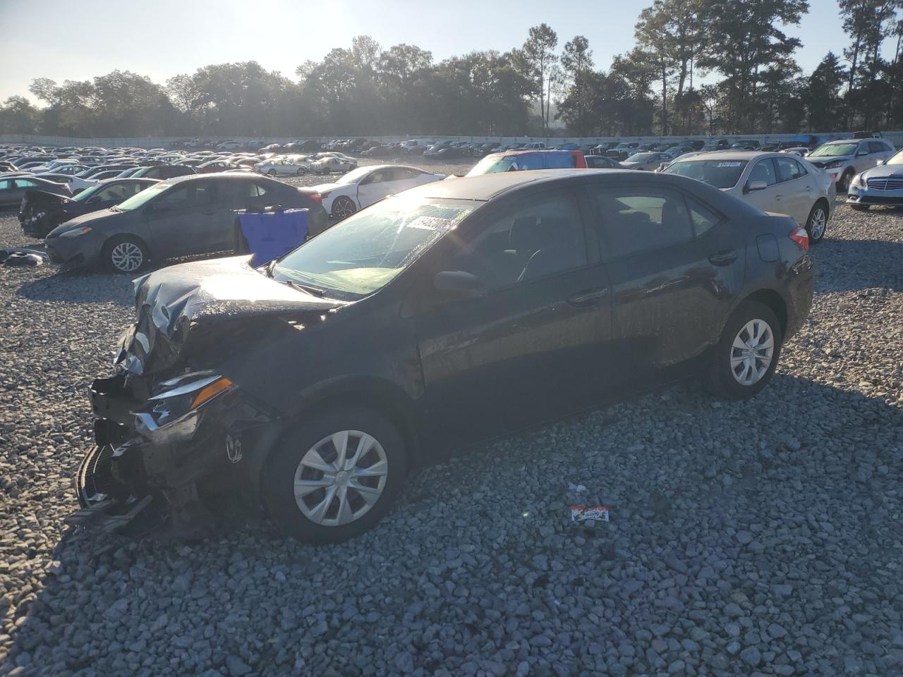 Toyota Corolla L Image 1