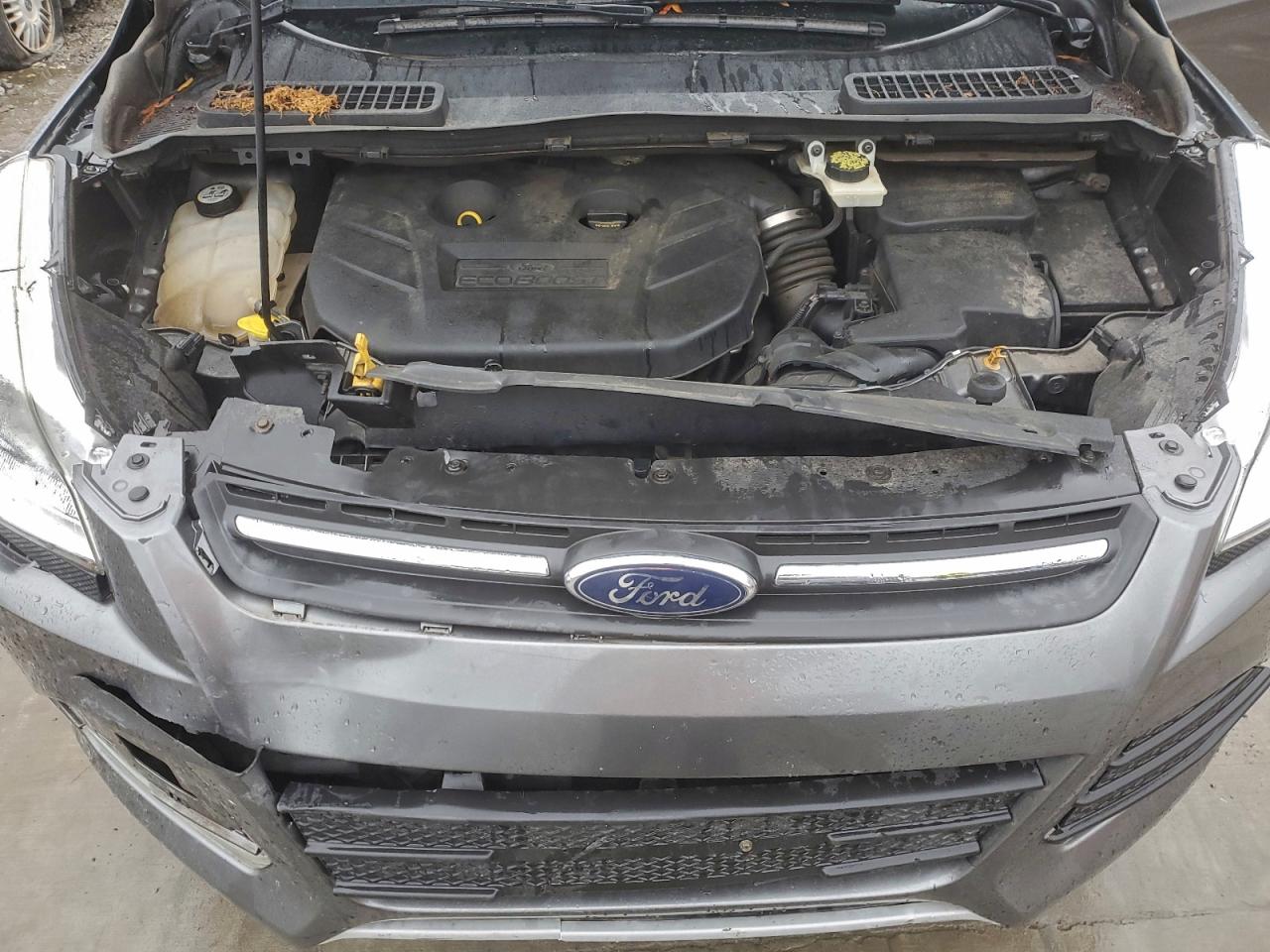 Ford Escape Se Image 12
